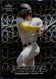 Fernando Tatis Jr.