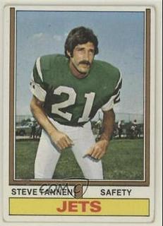 steve tannen