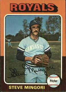 Steve Mingori