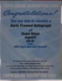 Shohei Ohtani