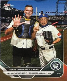 Randy Johnson / Ichiro