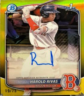 Harold Rivas