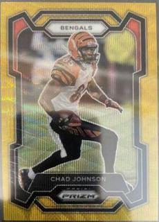 Chad Johnson