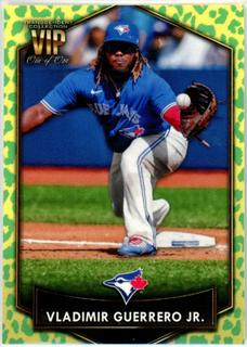 Vladimir Guerrero Jr.