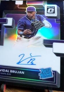 Vidal Brujan
