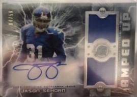 Jason Sehorn