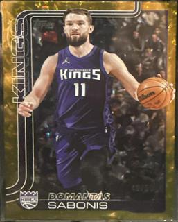 Domantas Sabonis