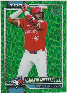 Vladimir Guerrero Jr.