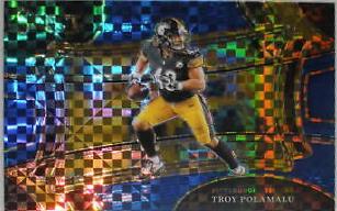 Troy Polamalu