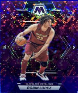 Robin Lopez
