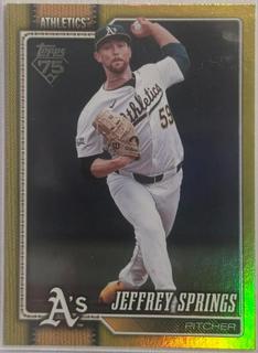 Jeffrey Springs