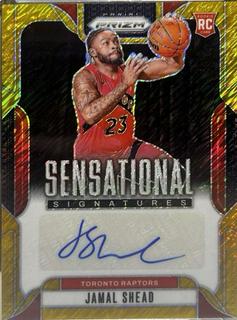 Jamal Shead