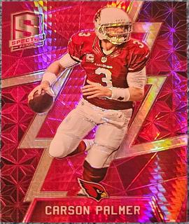 Carson Palmer