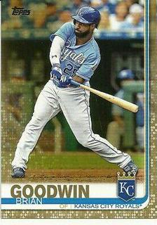 Brian Goodwin