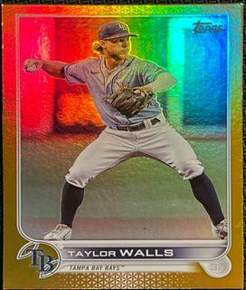 Taylor Walls