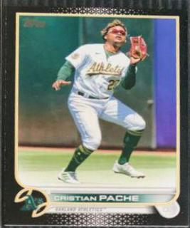 Cristian Pache