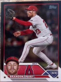 Brandon Drury
