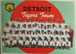 Tigers Team