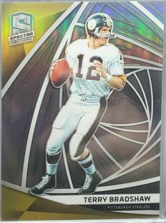 Terry Bradshaw