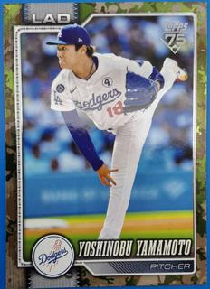 Yoshinobu Yamamoto