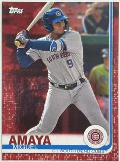 Miguel Amaya