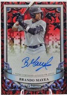 Brando Mayea