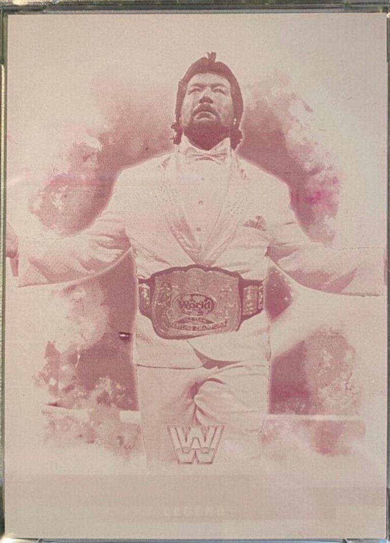Ted DiBiase #64 Wrestling Cards 2017 Topps WWE Undisputed
