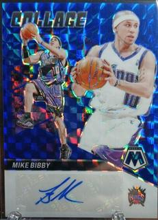 Mike Bibby