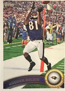 Anquan Boldin