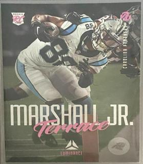 Terrace Marshall Jr.