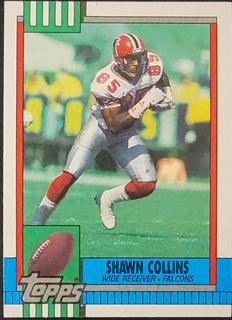 Shawn Collins