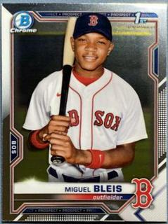 Miguel Bleis