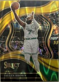 Jaylen Brown