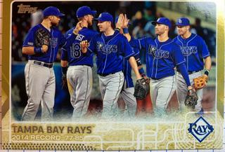 Tampa Bay Rays