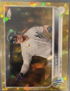 Luke Voit