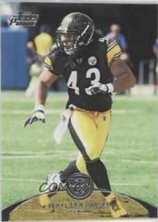 Troy Polamalu