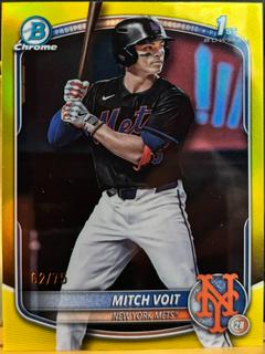 Mitch Voit