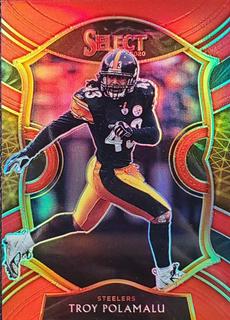 Troy Polamalu