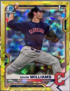 Gavin Williams