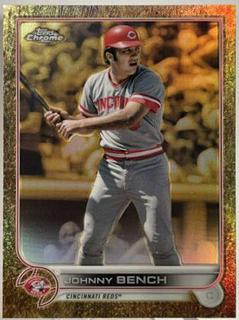 Johnny Bench