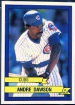 Andre Dawson