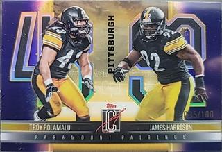 James Harrison / Troy Polamalu