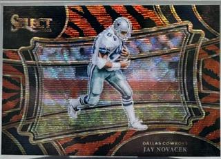 Jay Novacek