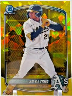Leo De Vries