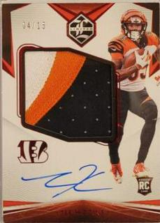 Tee Higgins