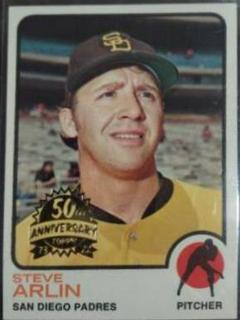 Steve Arlin