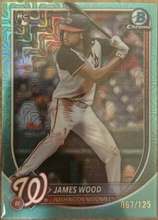 James Wood