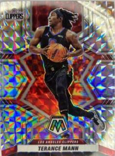 Terance Mann