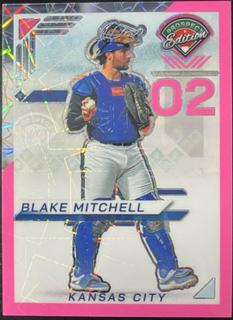 Blake Mitchell