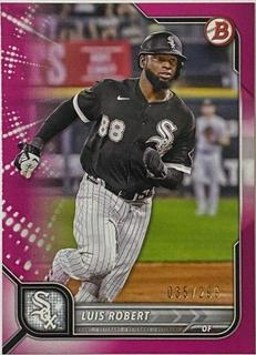 Luis Robert